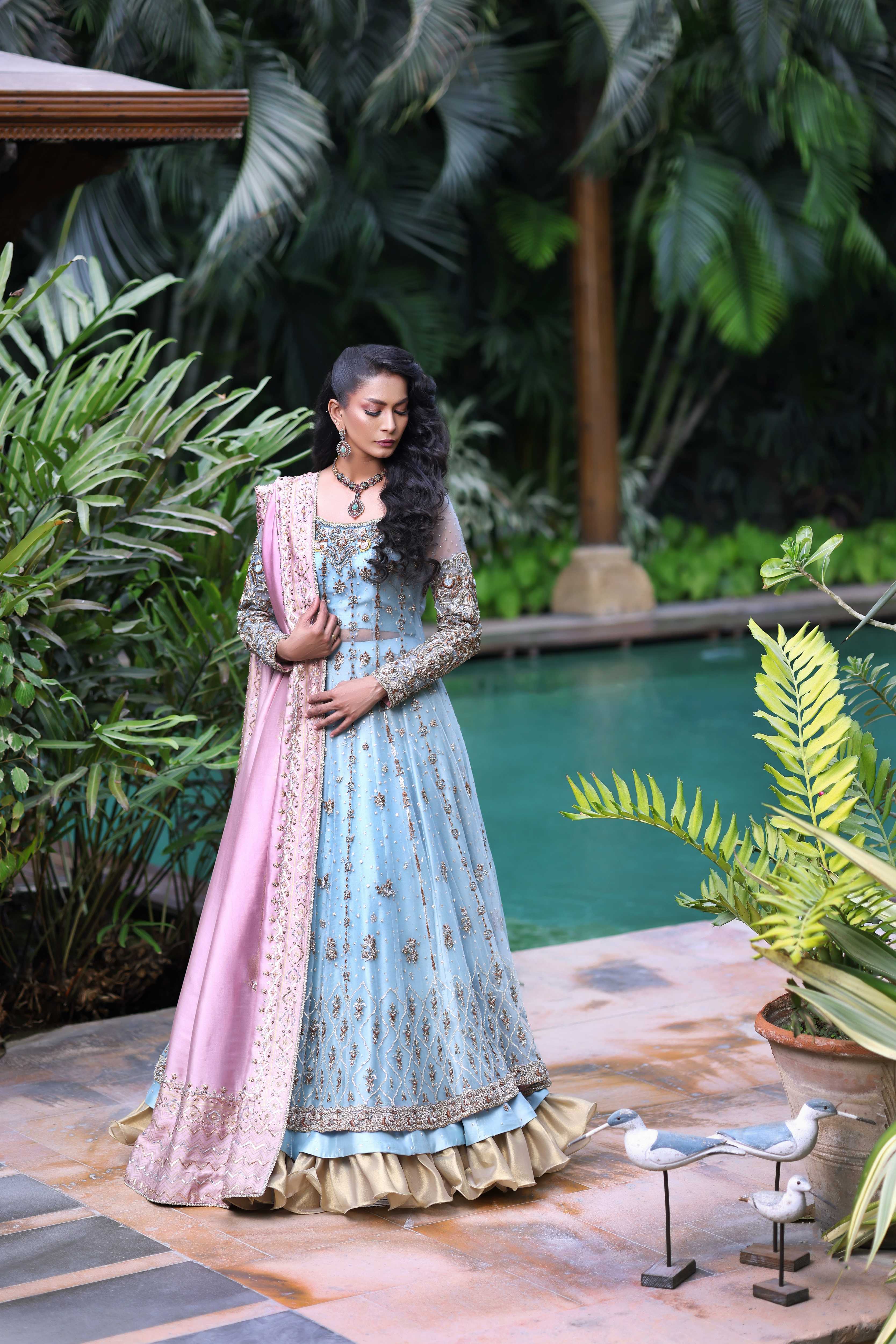 Ferozi French Net Nur Anarkali