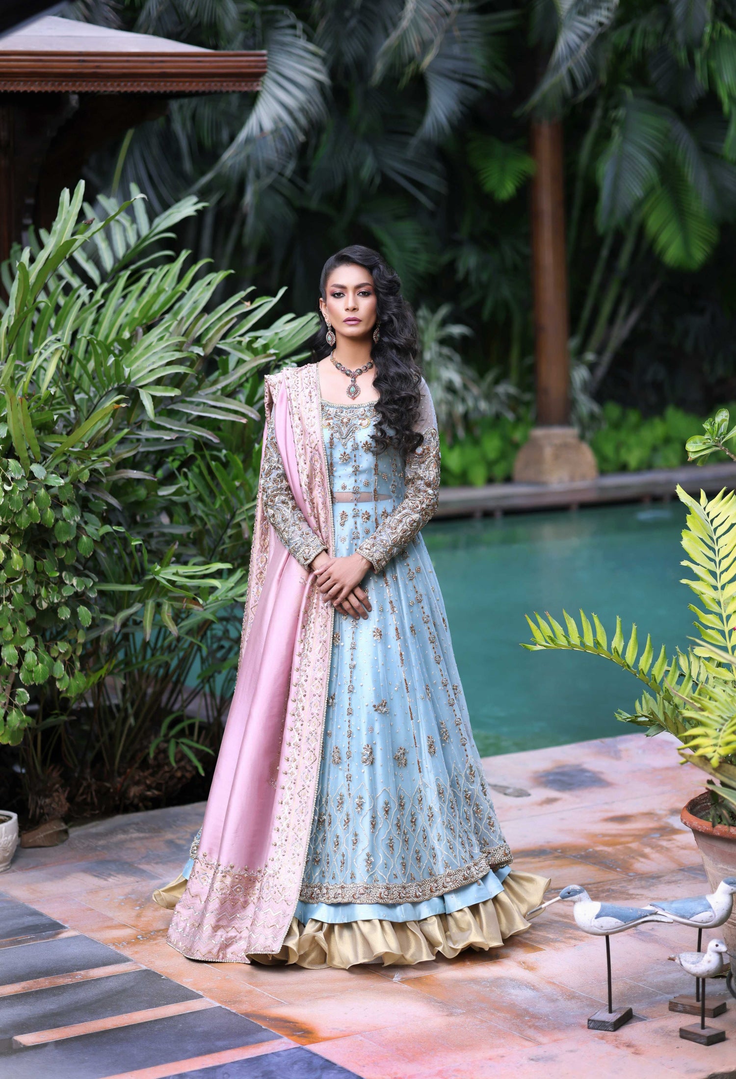 Ferozi French Net Nur Anarkali