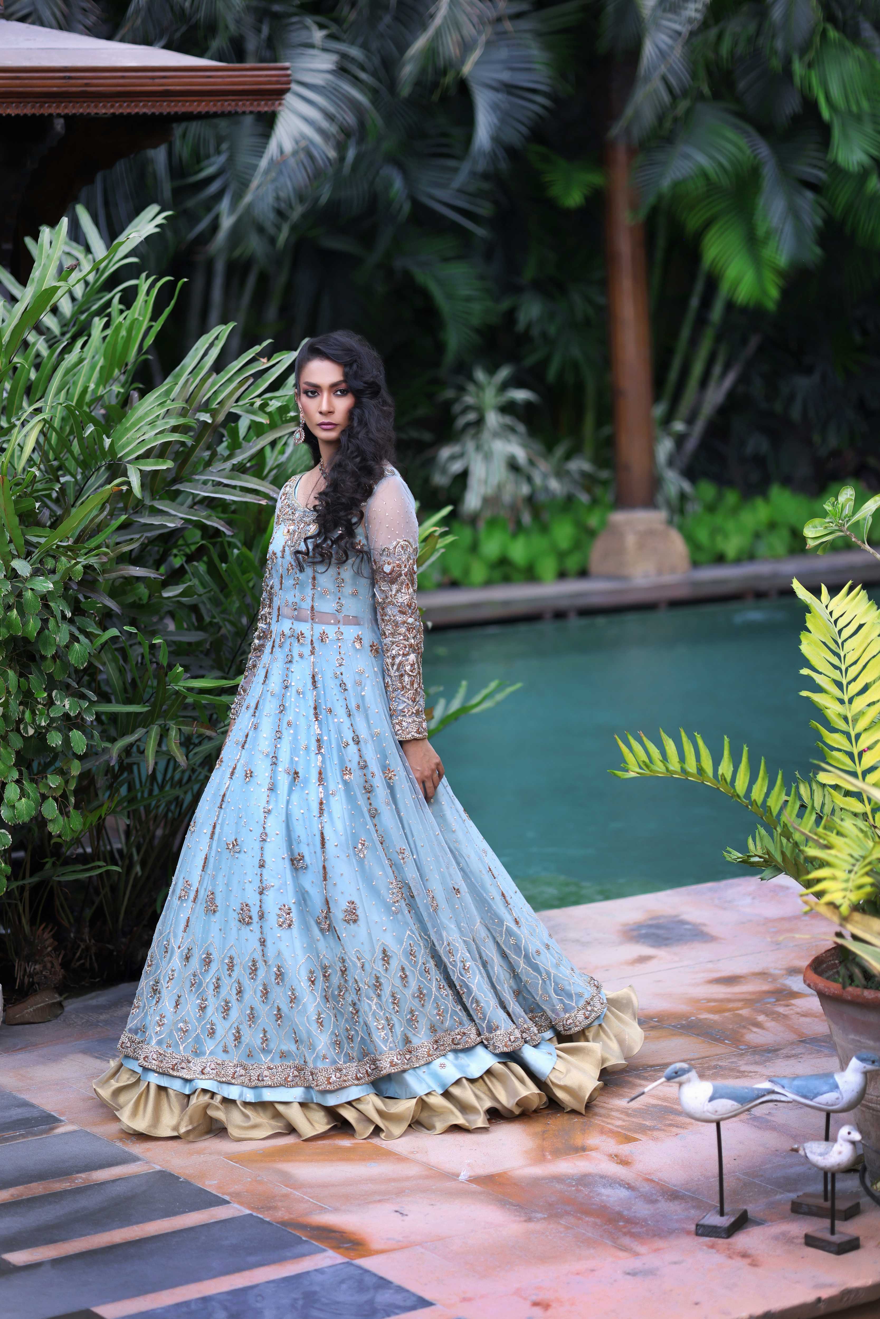 Ferozi French Net Nur Anarkali