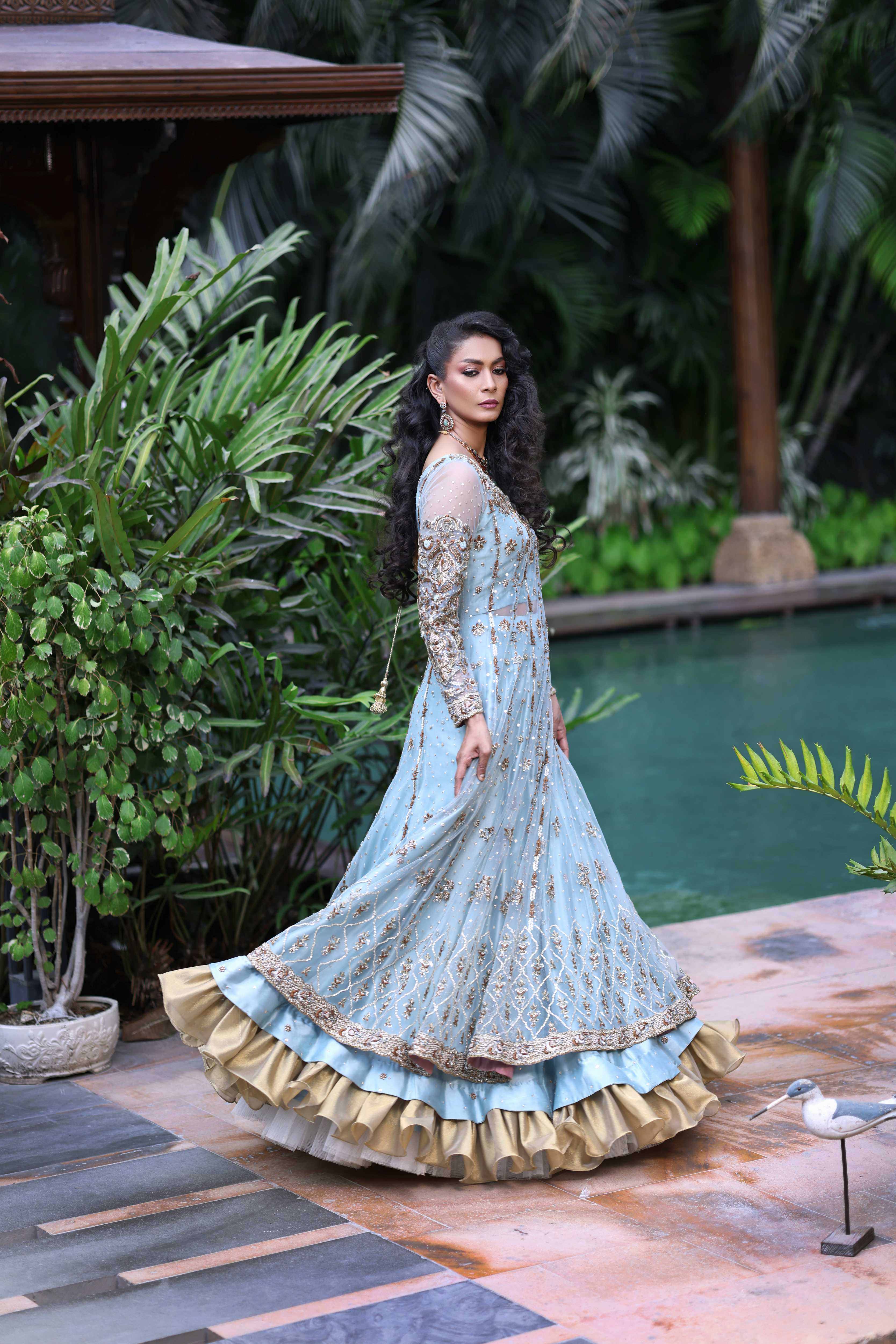 Ferozi French Net Nur Anarkali