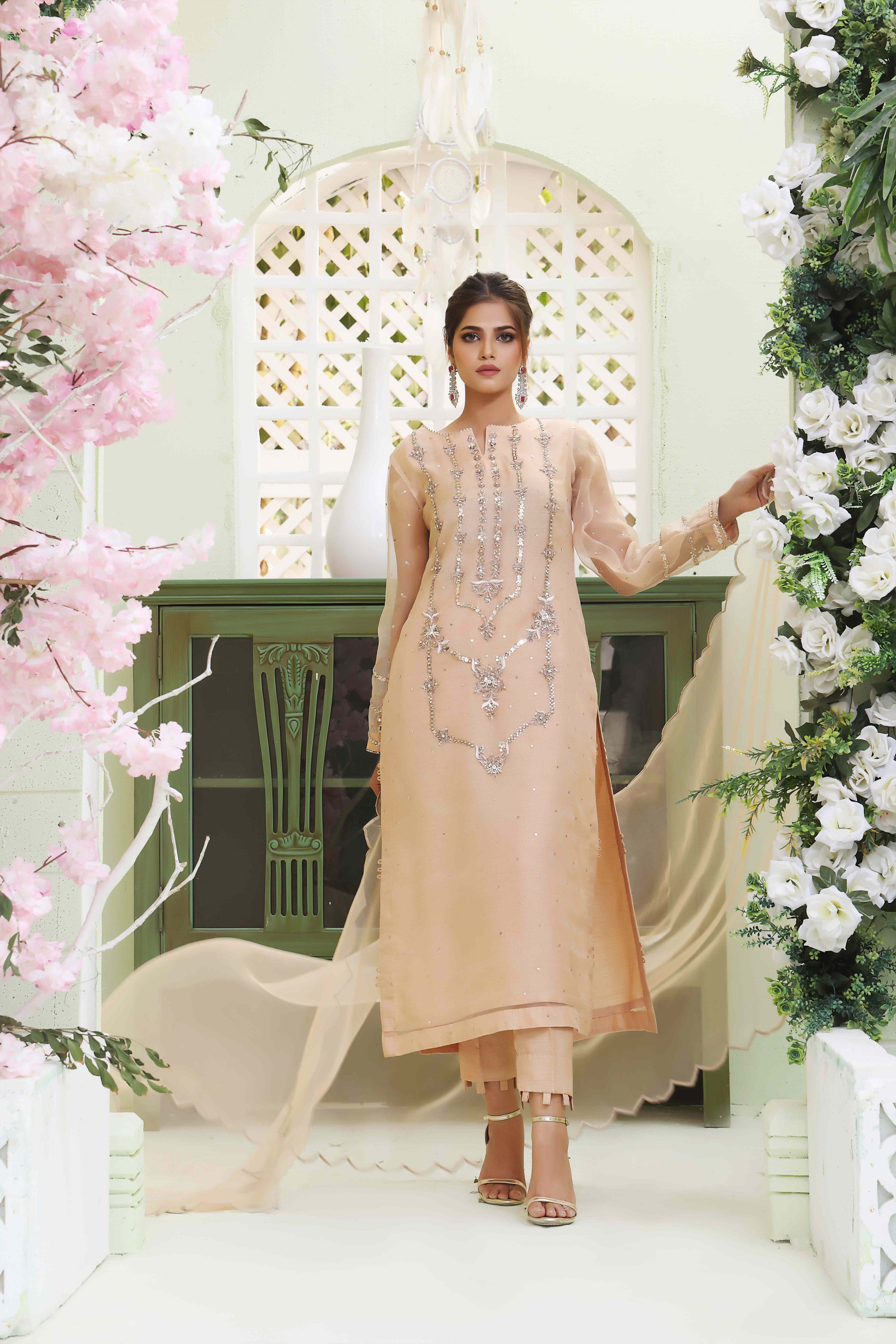 Nude Peach Organza Outfit