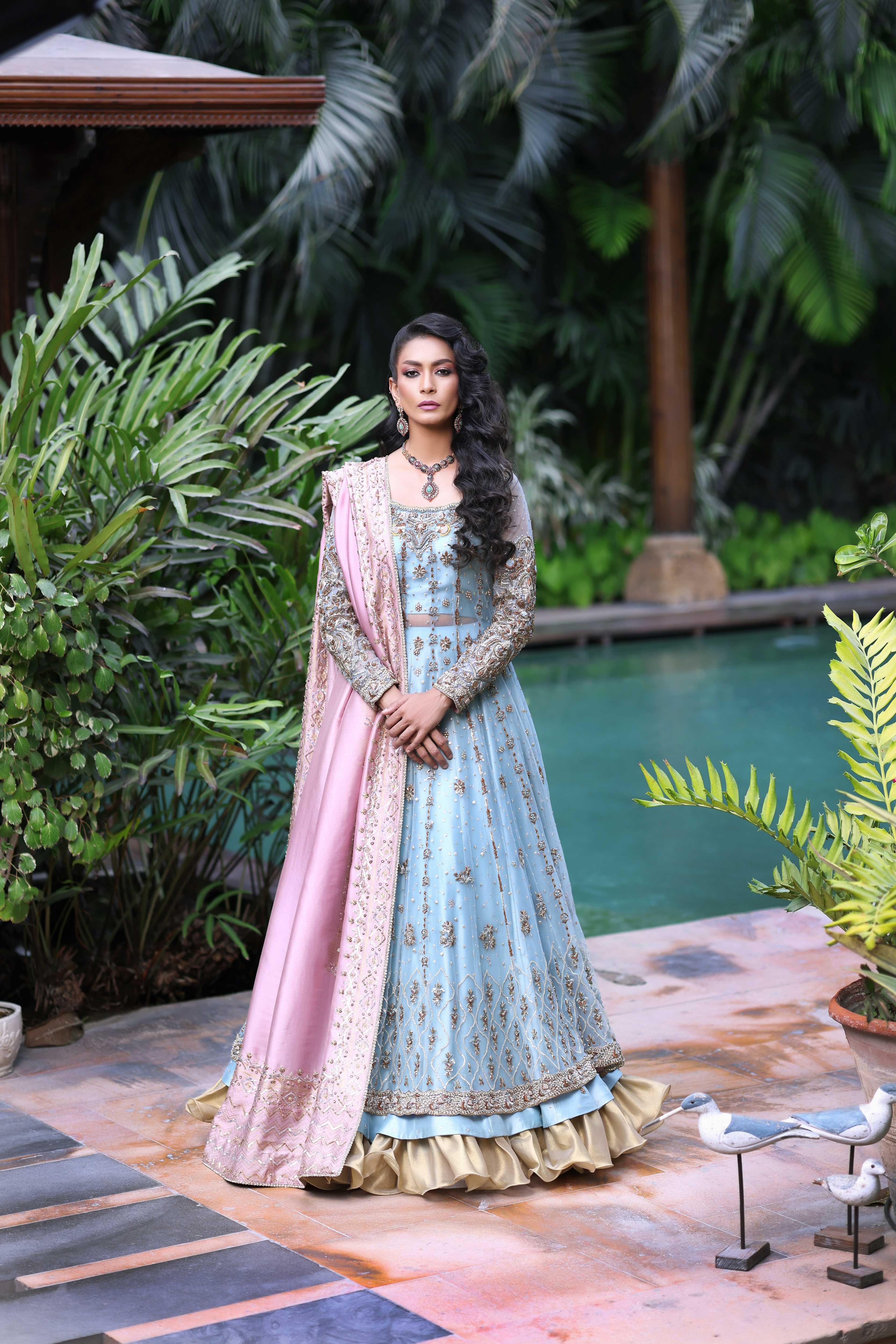 Ferozi French Net Nur Anarkali