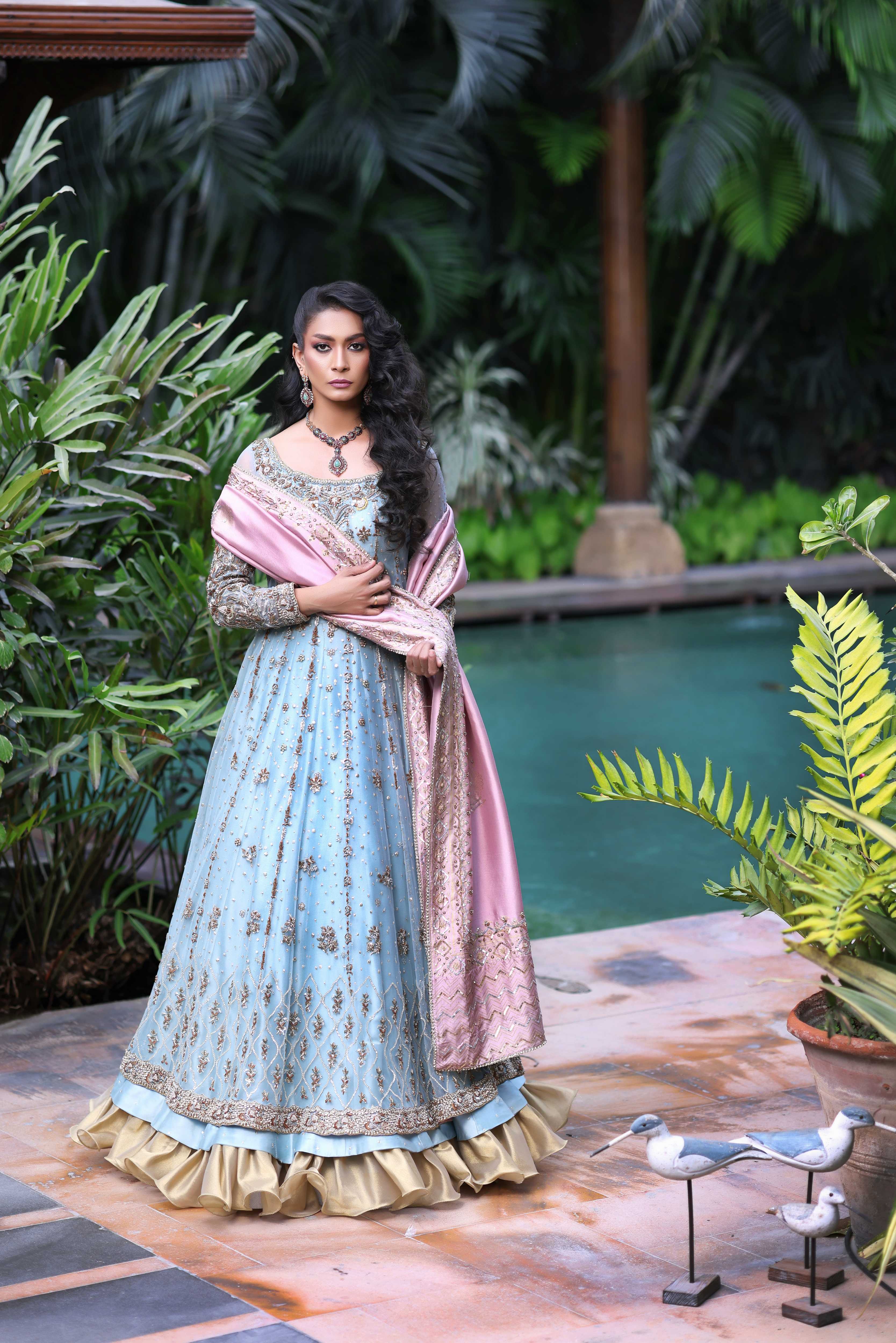 Ferozi French Net Nur Anarkali