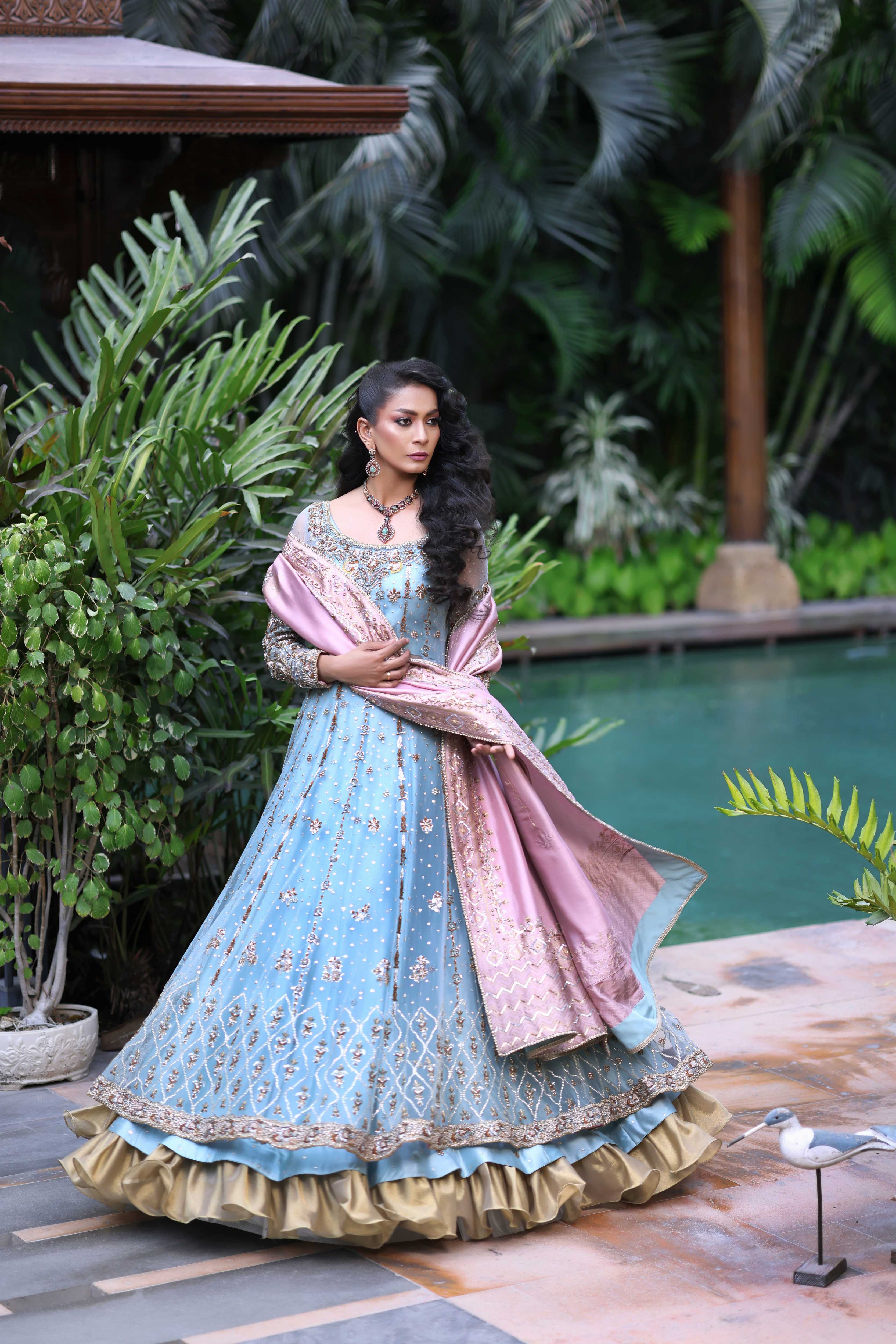 Ferozi French Net Nur Anarkali