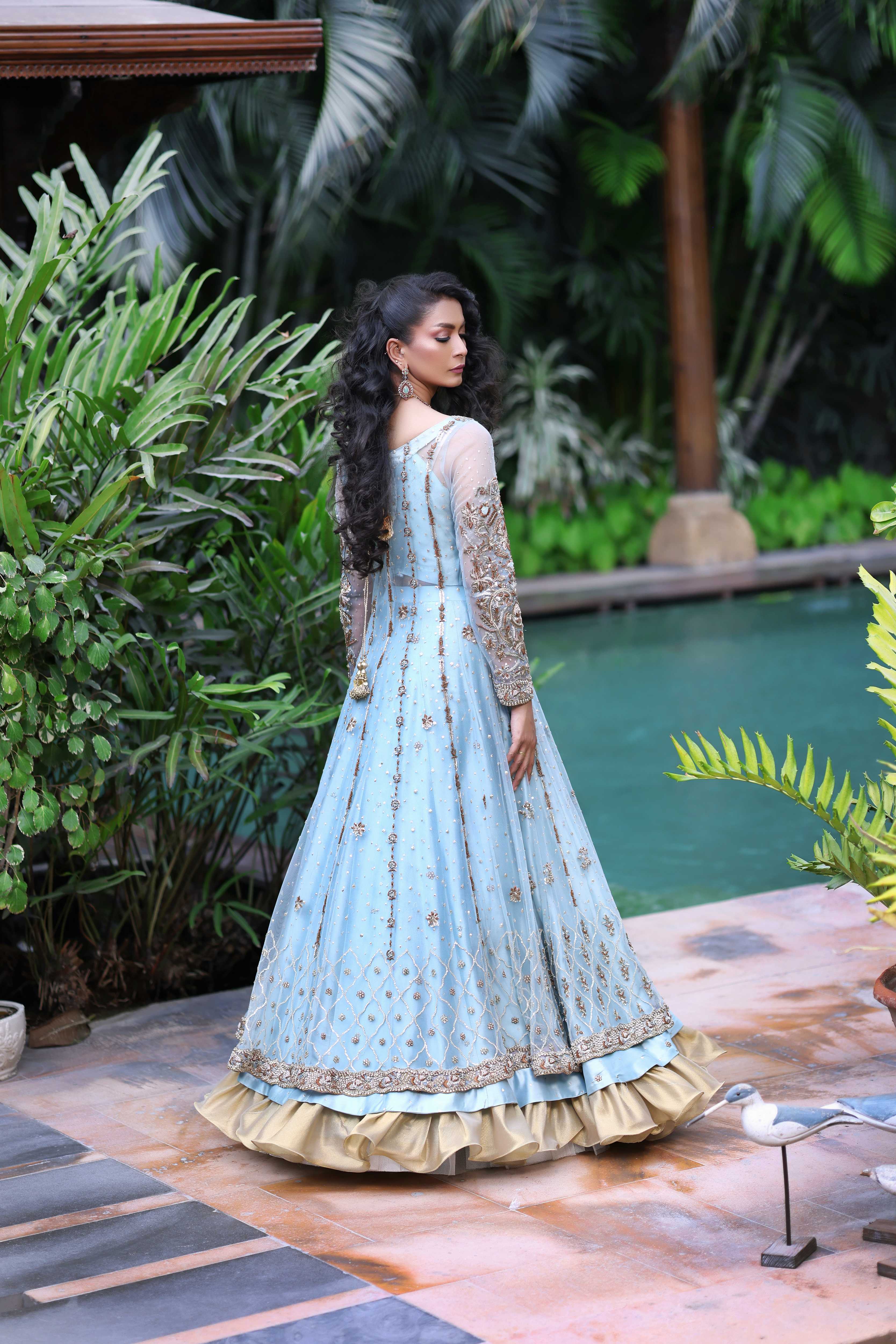 Ferozi French Net Nur Anarkali