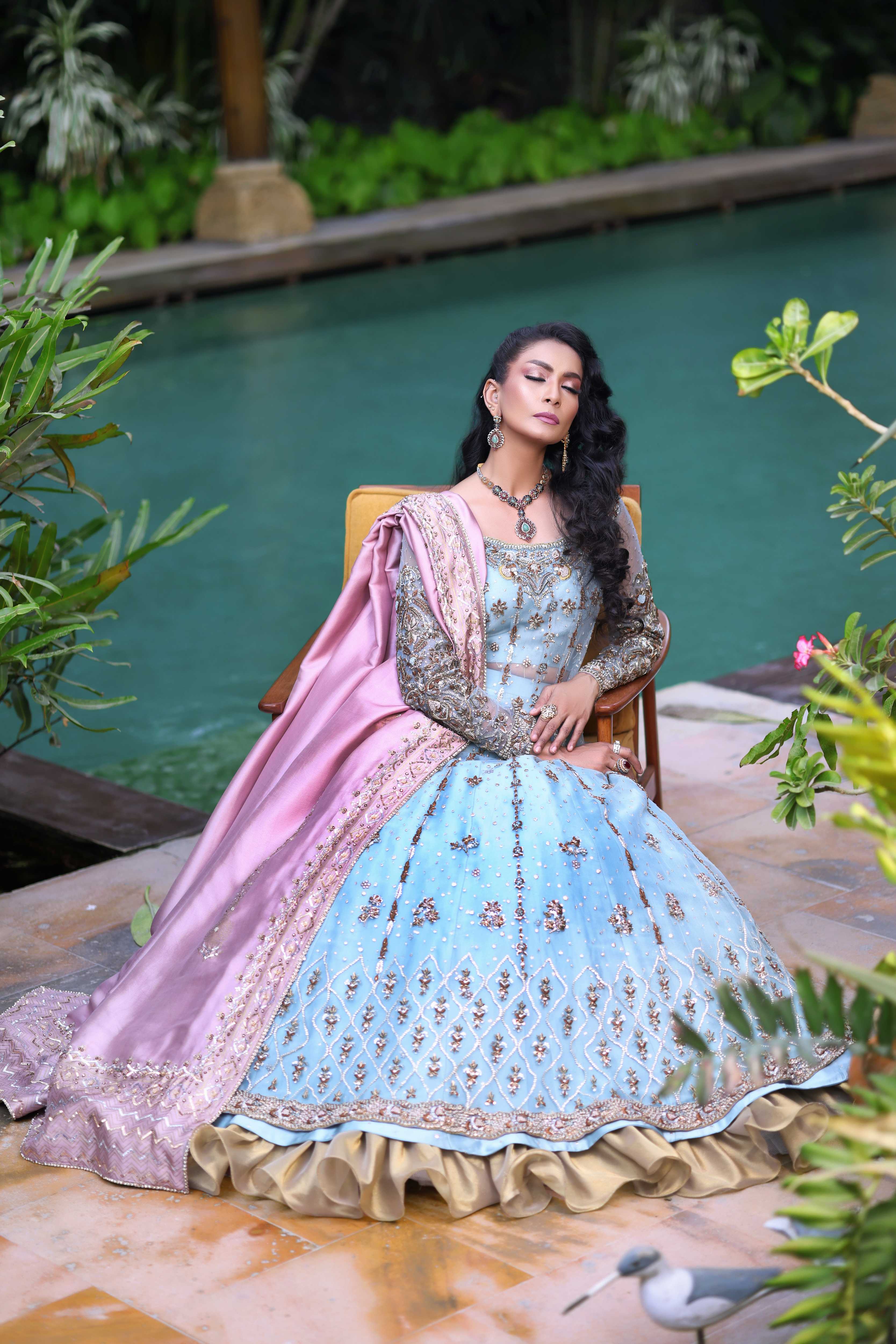 Ferozi French Net Nur Anarkali