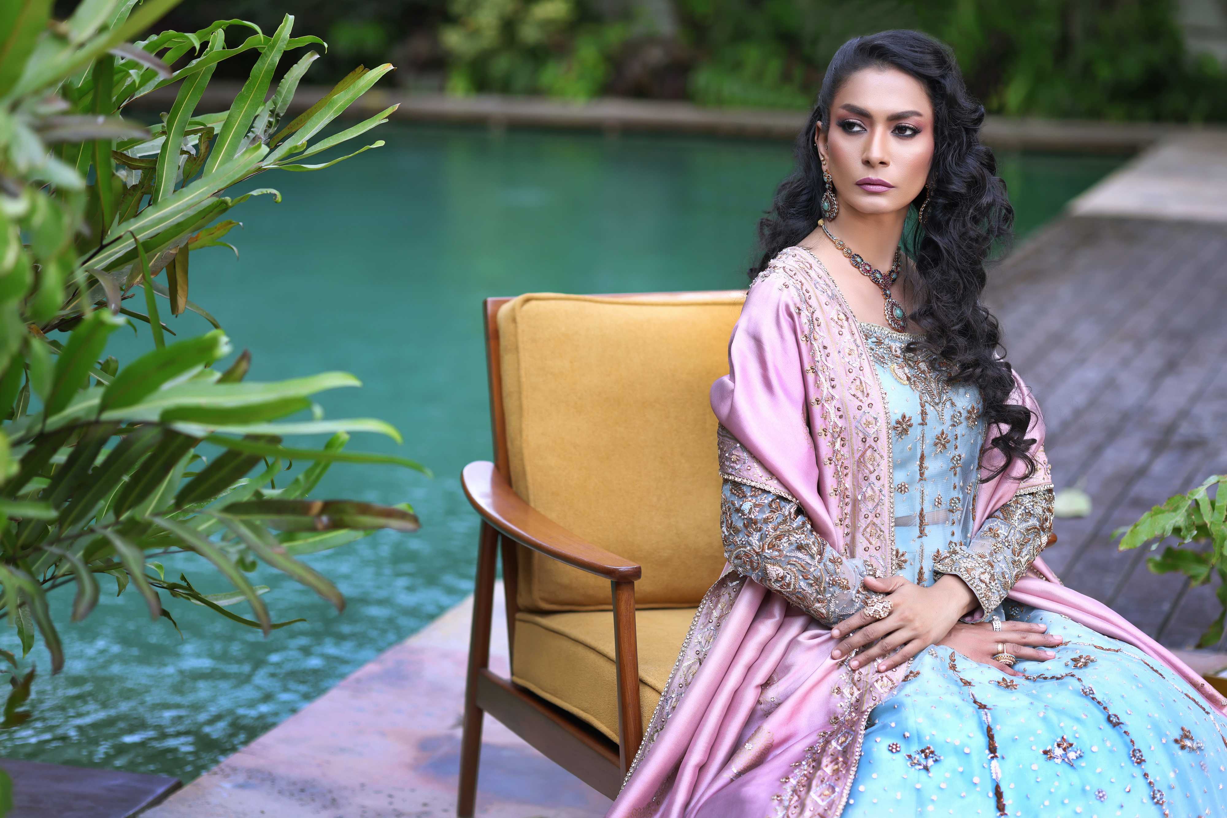 Ferozi French Net Nur Anarkali