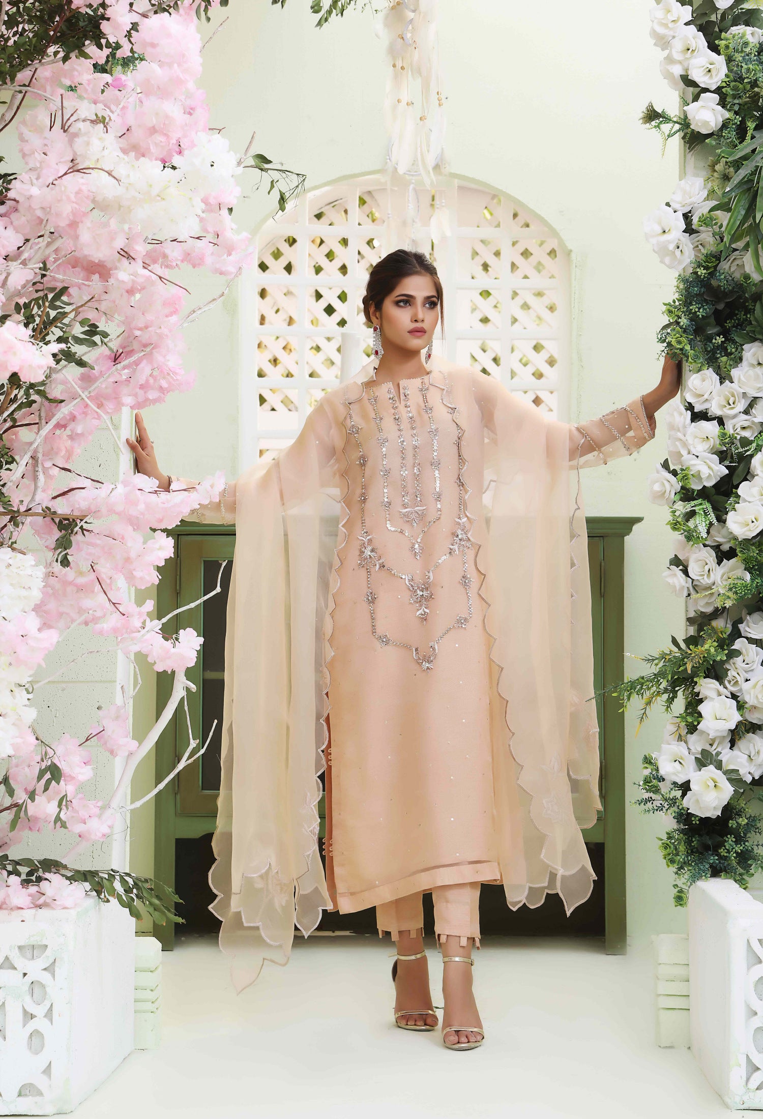 Nude Peach Organza Outfit